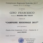 CAMPIONE REGIONALE P10 2017 GINO FRANCESCO